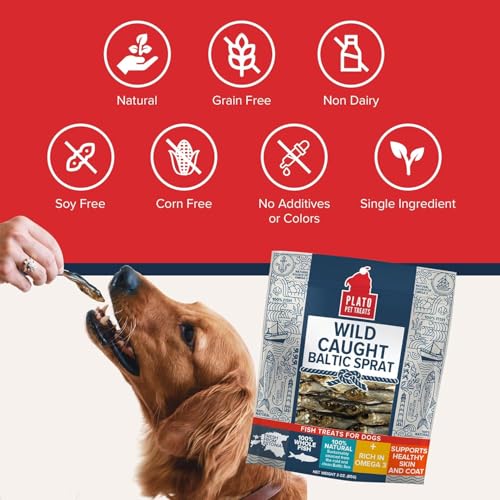 Pet Treats Fish Dog Treats