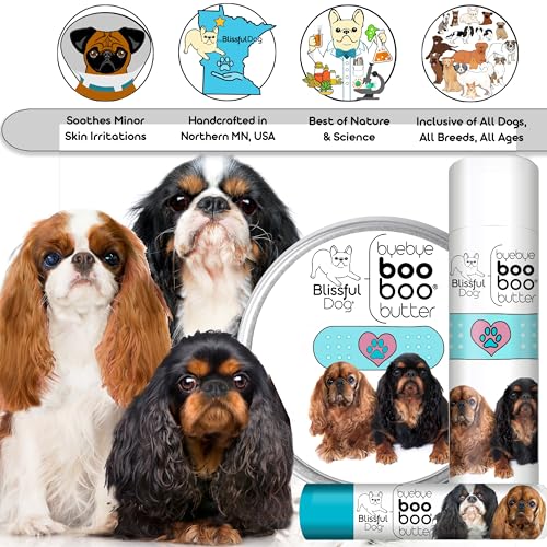 English Toy Spaniel Boo Boo Butter (2 Ounce / English Toy Spaniel)