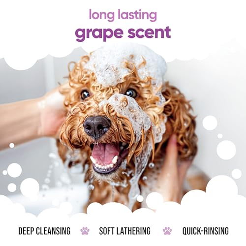Grape Scented Puppy Shampoo by Buddycare (16.90oz)