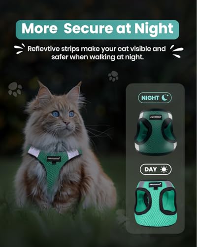 Cat Harness and Leash Set (Green / S(Chest 8-10"))