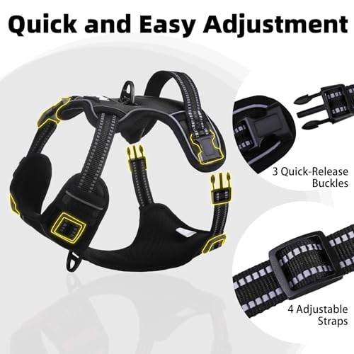 No Pull Dog Harness Medium Sized (Black / Medium)