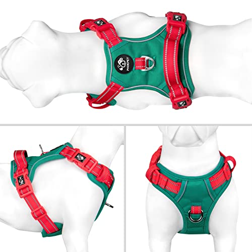 No Pull Dog Harness (Dark Green Base & Red Straps / Extra Large)