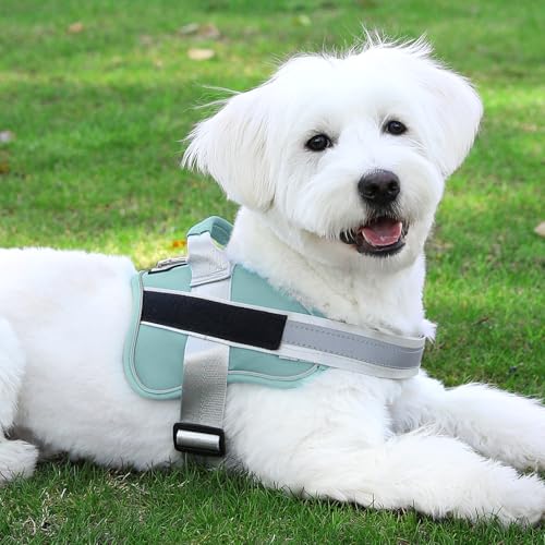 Dog Harness No (XX-Large (Pack of 1) / BabyBlue)
