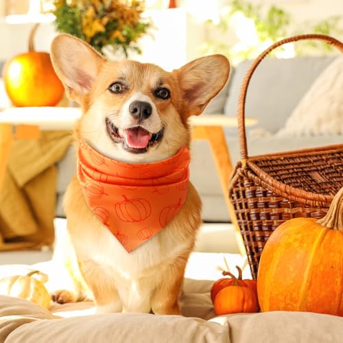 100 Pieces Thanksgiving Dog Bandanas Bulk Fall Autumn Pet Bandanas with Pumpkin Patterns Triangle Scarf Bib Kerchief Set for Small Large Dog Costume Accessories (Pumpkin / 25.6 x 17.7 x 17.7")