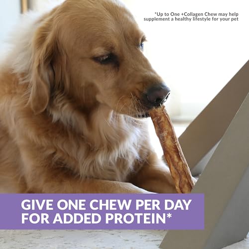 Real Duck Collagen Stick Dog Treat 10" (11 Ounce (Pack of 3))