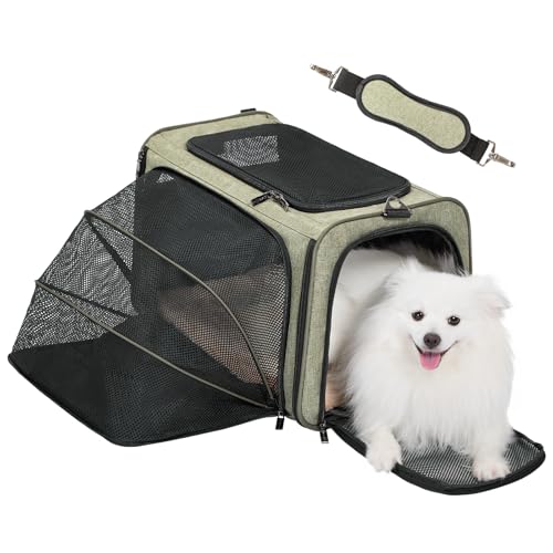 Large Expandable Cat Carrier for Travel (19.0"L x 12.0"W x 12.0"H / Green)