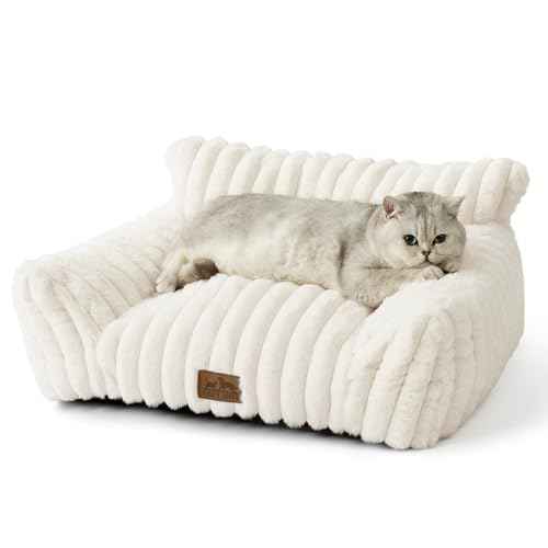 Cute Cat Couch (Cream / Small: 25.5'' x 17.5'')