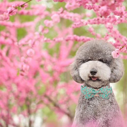 Dog Collar Spring Pet Collar with Bow Dog Durable Pink Flower Print Dog Collars Girl Pet Gift Adjustable Dog Collar for X (Pink Floral / X-Large (Pack of 1))