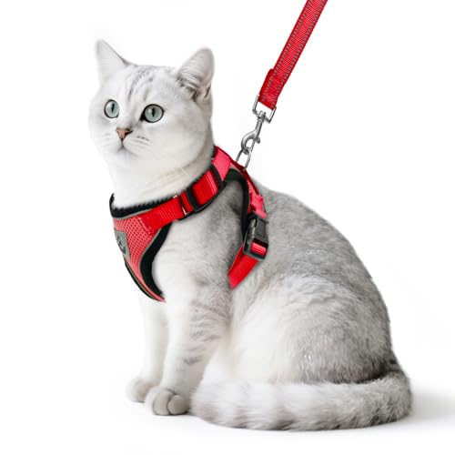 Cat Harness and Leash Set Escape Proof Reflective Cat Walking Harness Adjustable Soft Breathable Mesh Vest for Small Pets (M (NECK 11"-13.7", CHEST 16"-20") / Red)