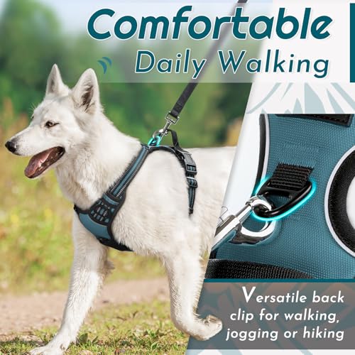 Dog Harness for Large Dogs (X-large / Dark Green)