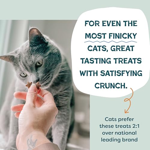 Catnip N Chill Chicken Liver Crunchy Cat Treats (2.5 Ounce (Pack of 1))