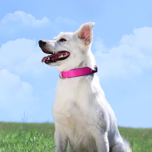 Soft Padded Dog Collars for Small Dogs (Rose Purple / S: Fit 9-12" Neck)