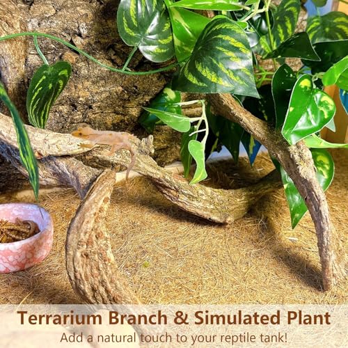 3PCS Natural Reptile Climbing Branches Decor (3PCS|S:0.75-1.25"T,13"H)