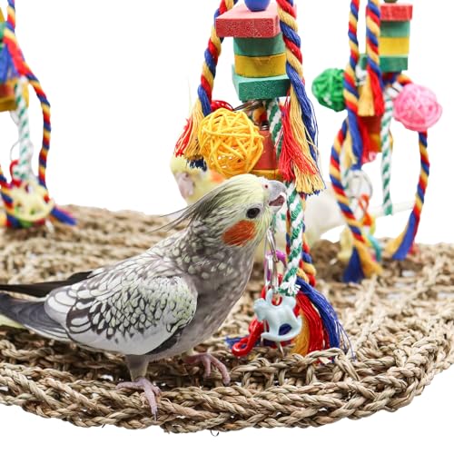 Large Bird Swing Toys