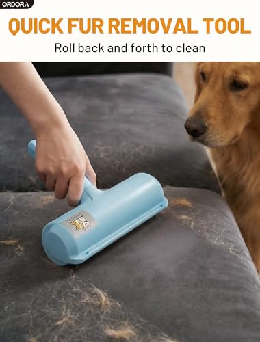 Pet Hair Remover Roller (B：blue)