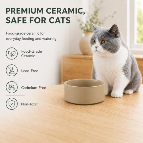 Cat Bowls Set of Two (Greige)