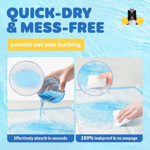 Puppy Pads for Dogs (34" x 28" (100 Packs))