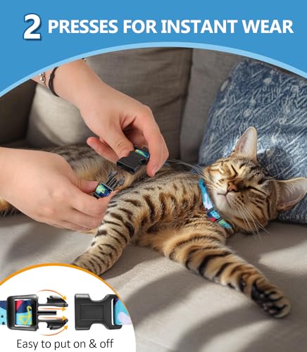 Cat Harness and Leash Set (Hawaiian Ocean Blue / Small (4-10 lb))