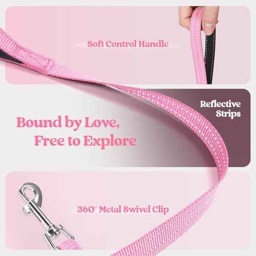 Dog Harness Small Sized and Leash Set (Light Pink / S (chest: 15.1 - 16.5"))