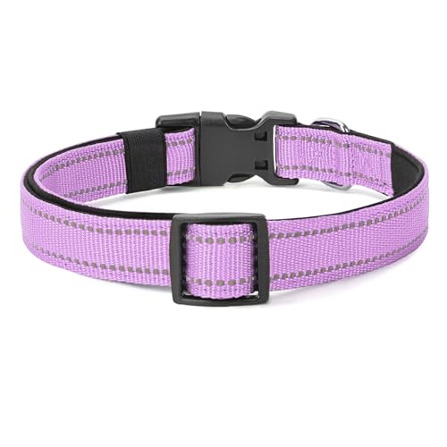 Reflective Dog Collar (Lavender / M:width 3/4"neck 14-20.5")