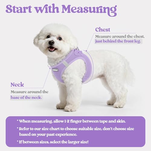 Dog Harness Medium Sized and Leash Set (Light Purple / M (chest: 16 - 18.5"))