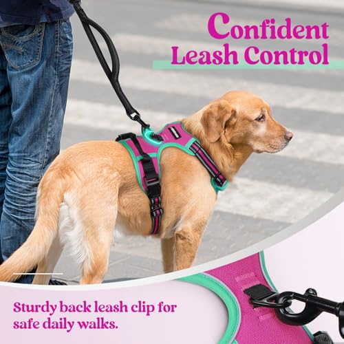 Dog Harness No Pull Medium Sized with 2 Leash Clips (Medium / Hot Pink & Turquoise)