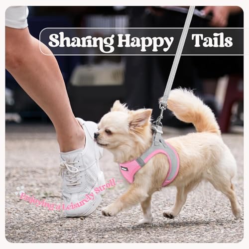 Dog Harness Small Sized and Leash Set (Light Pink & Gray / Xxs (chest: 12.4 - 14.2"))