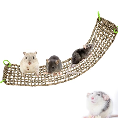 Rat Climbing Toys