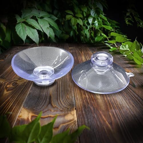 Bearded Dragon Feeder