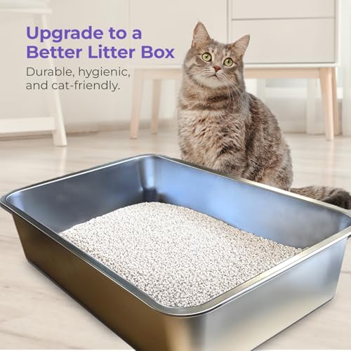 Stainless Steel Cat Litter Box (X-Large)