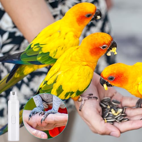 2 Pcs Bird Nail Grinder with Clipper Bird Nail Trimmer File Pet Grooming Tool for Parrot Budgerigars Parakeets Myna Conure Finches Lovebirds (White)