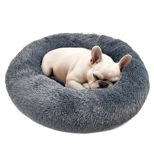 Dogs Bed for Small Dogs (Dark Grey / 24.0"L x 24.0"W x 8.0"Th)