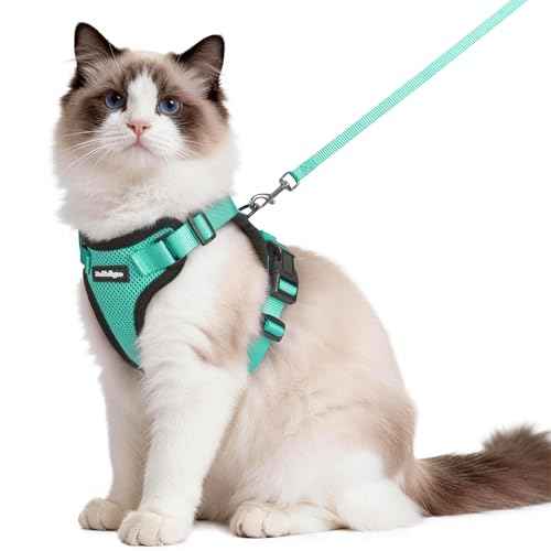 Cat Harness and Leash Set (M / Emerald)
