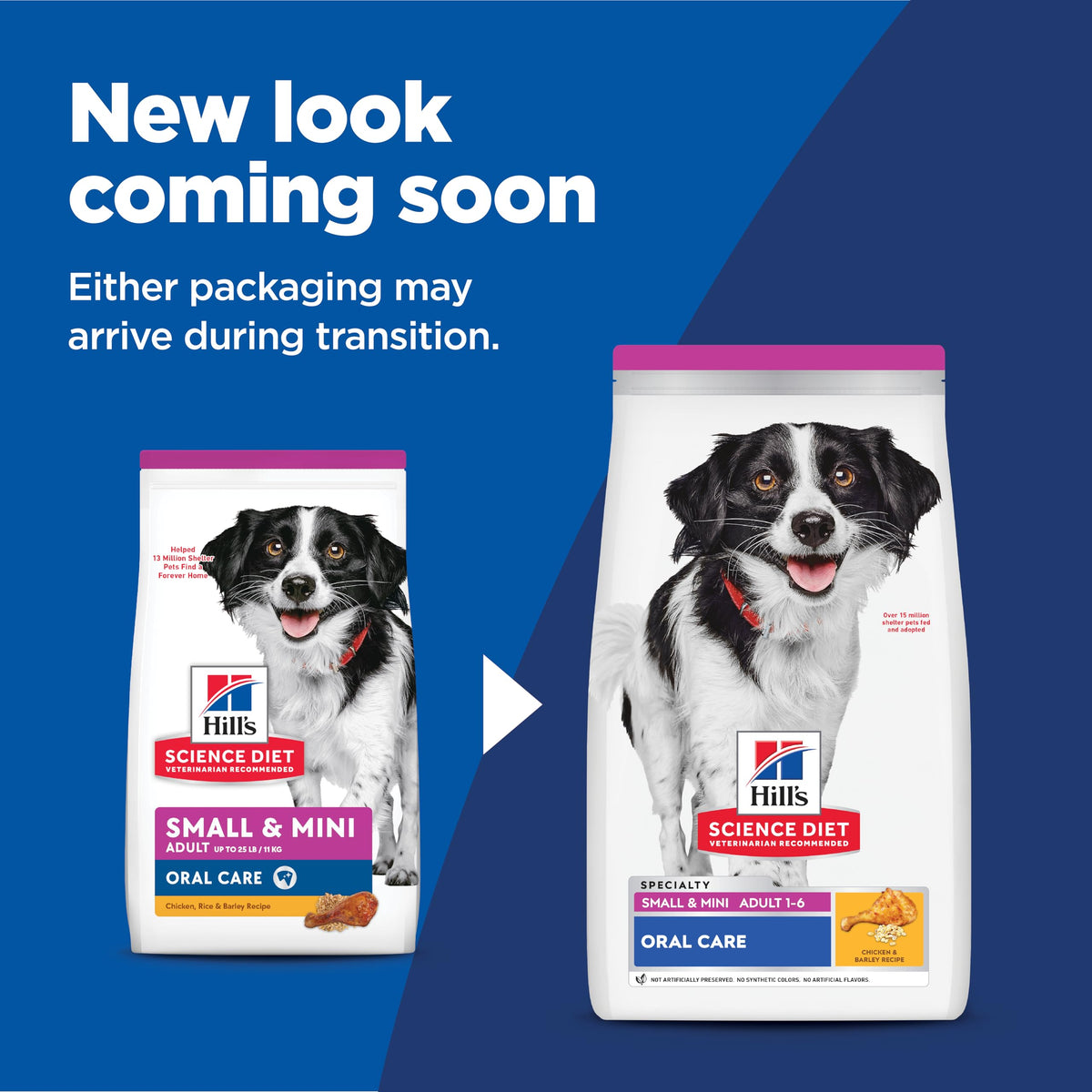Adult 1 6 Oral Care Small & Mini Dry Dog Food (12.5 Pound (Pack of 1))