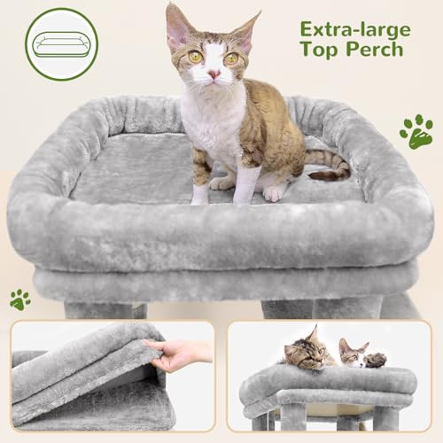 Heavy Duty Cat Trees for Big Cats Maine Coon (Light Grey / 61inch)