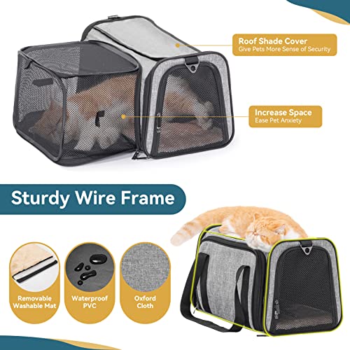 Cat Carrier Airline Approved