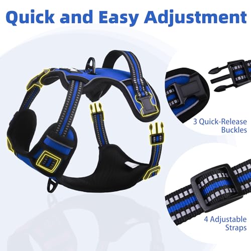 No Pull Dog Harness for Large (Blue / X-Large)