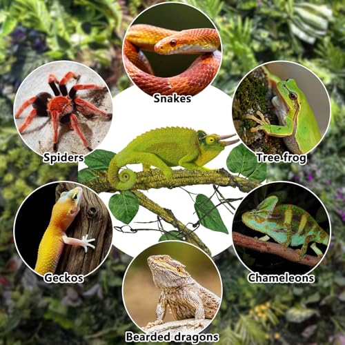 Large Reptile Vines Thick Terrarium Plants 118 Inches Long Flexible Climbing Branch Snake Tank Accessories Greenery Habitat Decor for Bearded Dragon Chameleon Gecko Frog Lizard (Green Reptile Vines (Lengh:118" Dia: 1.2 In))