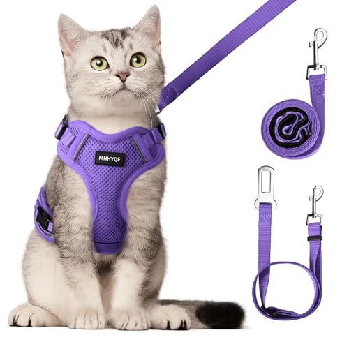Cat Harness and Leash Set (Purple / Medium)