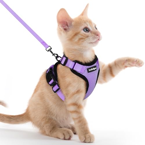 Cat Harness and Leash Set (Xxs / Light Purple)