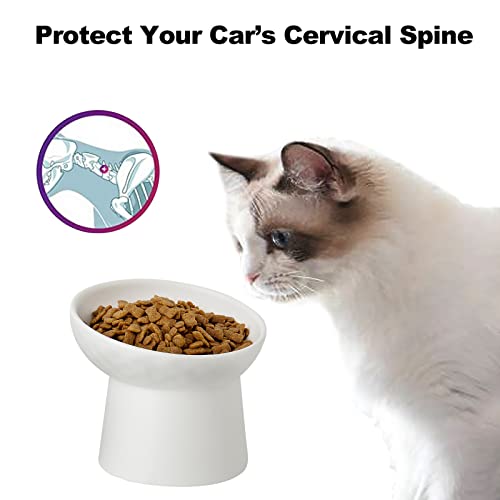 Elevated Cat Bowls (White / 5.2 Inch (Pack of 1))