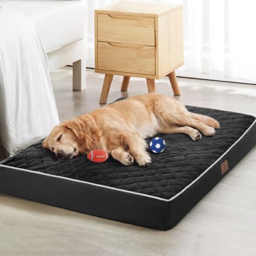 Orthopedic XXL Dog Beds for Large Senior Dog Bed Comfy Sleeping (black / 47"L x 29"W x 3.5"Th)