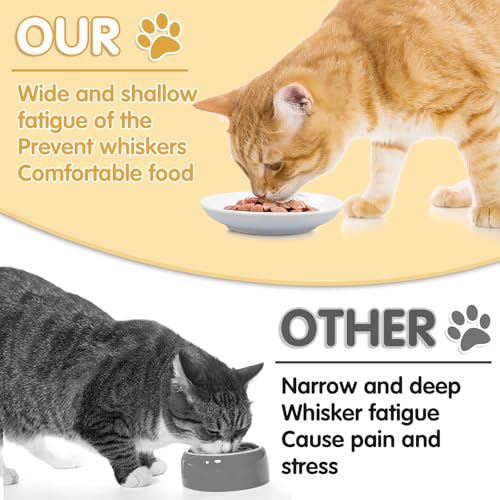 6 Pack Cat Food Bowl (White-B)