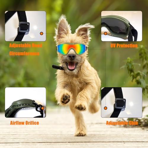 Dog Goggles Small Breed Dog Sunglasses Doggy UV Protection Glasses (Green Frame Red Lens)
