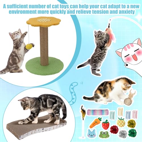 40 Pcs Kitten Starter Kit for Indoor Cats Include Litter Box