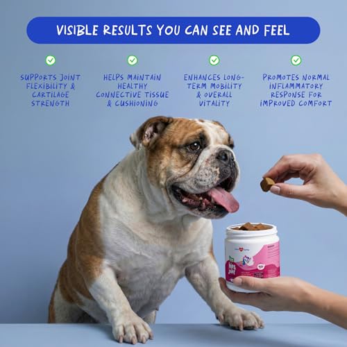 Max Strenght Hip & Joint Supplement for Senior & Large Breeds Dogs