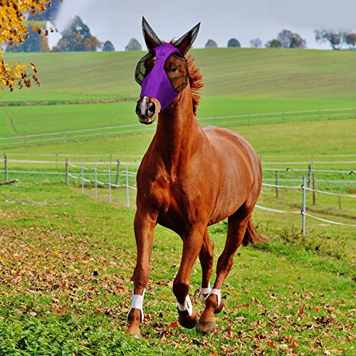 6 Pcs Horse Fly Masks with Ears Comfort Breathable Mesh Fly Masks Net UV Protection Large Eye Space Full Face Covering Elasticity Soft for Horses (Medium)