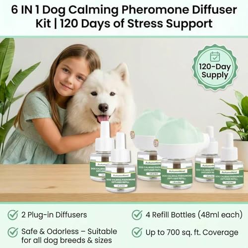 Dog Pheromone Diffuser Kit (6 packs - Bear Diffuser)
