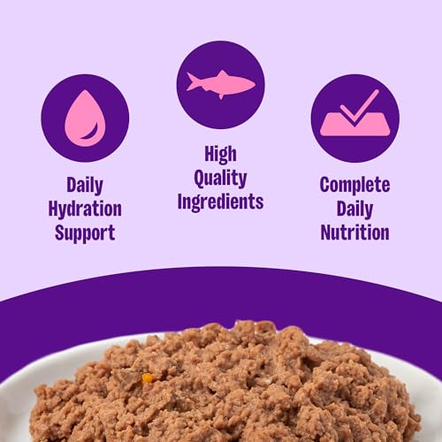 Complete Health Pate Kitten Canned Wet Cat Food (3 Ounce (Pack of 24))