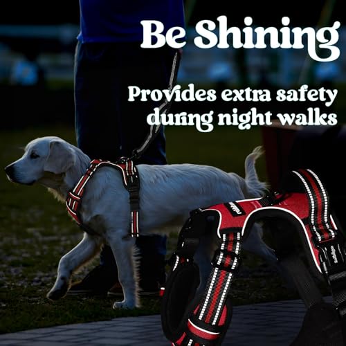 Dog Harness for Large (Large / Red)